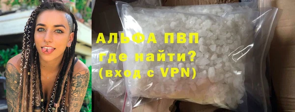 индика Сатка