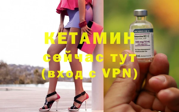 индика Сатка