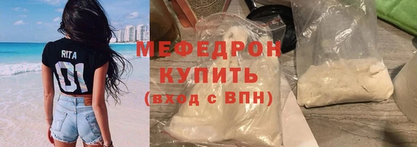 индика Сатка