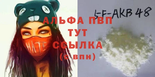 стаф Саяногорск