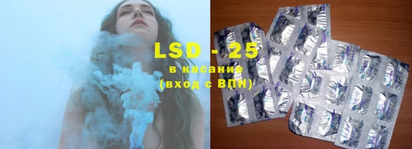 индика Сатка