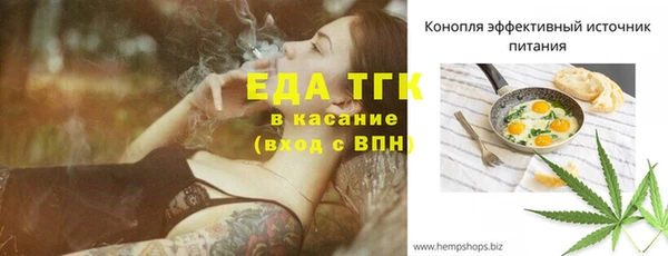 индика Сатка