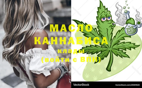 индика Сатка