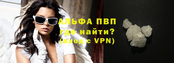индика Сатка