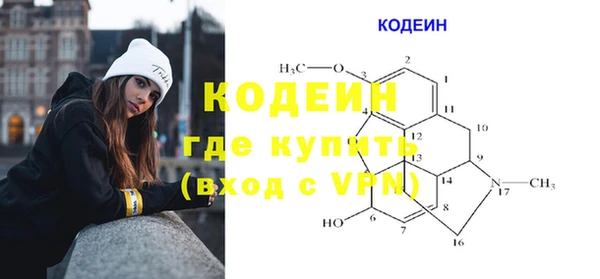 индика Сатка