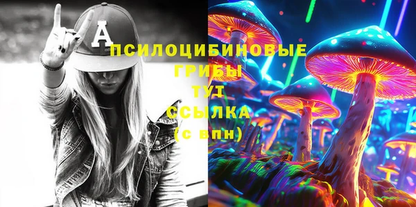 стаф Саяногорск