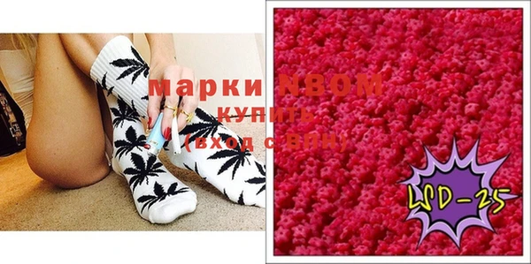индика Сатка