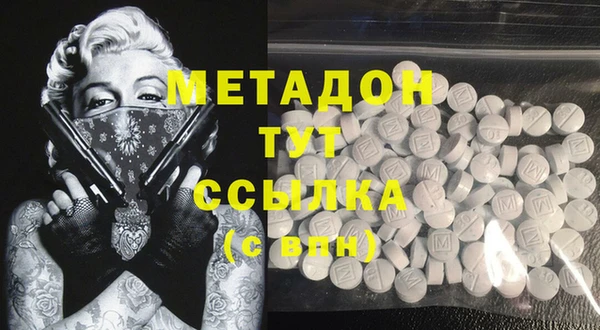 индика Сатка