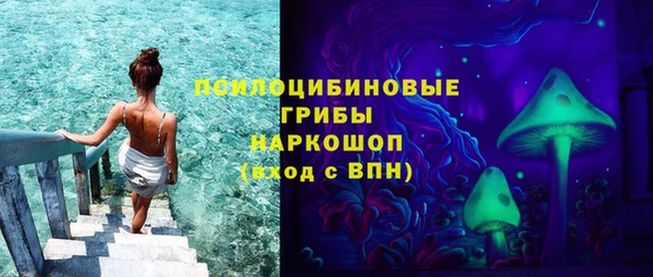 индика Сатка