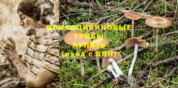 стаф Саяногорск