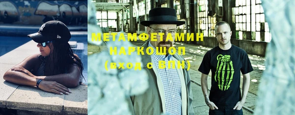 индика Сатка