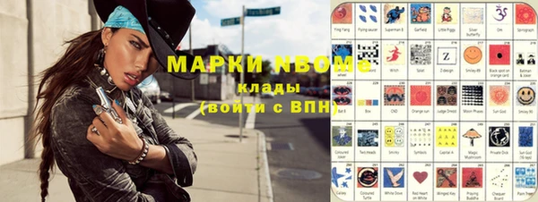 индика Сатка