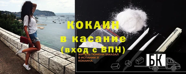 индика Сатка